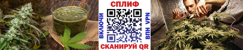 где можно купить наркотик  Грозный  Еда ТГК марихуана 